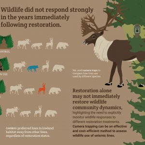 New Paper: Responses to Caribou Habitat Restoration