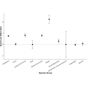 Effects of scent lure on camera trap detections: New paper